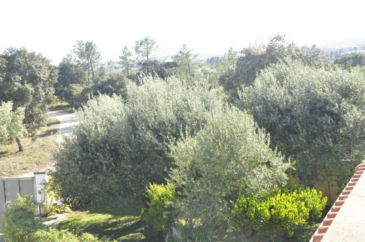 O Cantar Dos Passarinhos Φάτιμα Εξωτερικό φωτογραφία